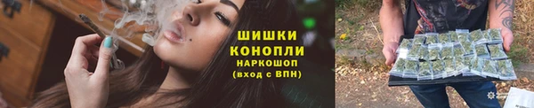 шишки Алексин