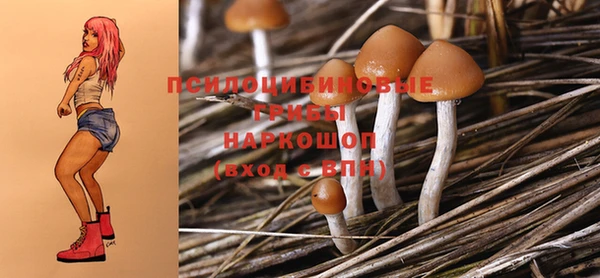 круглые Алзамай