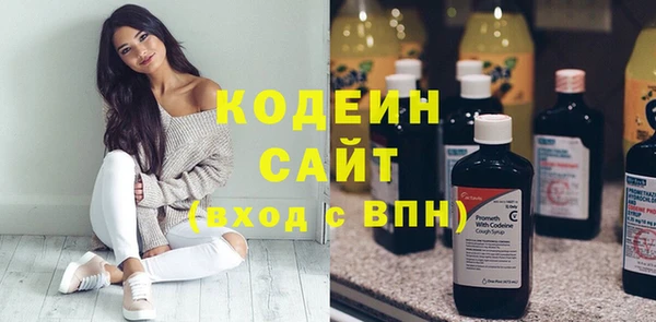 шишки Алексин
