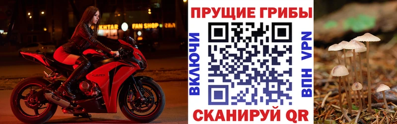 Галлюциногенные грибы MAGIC MUSHROOMS  цена   Ревда 